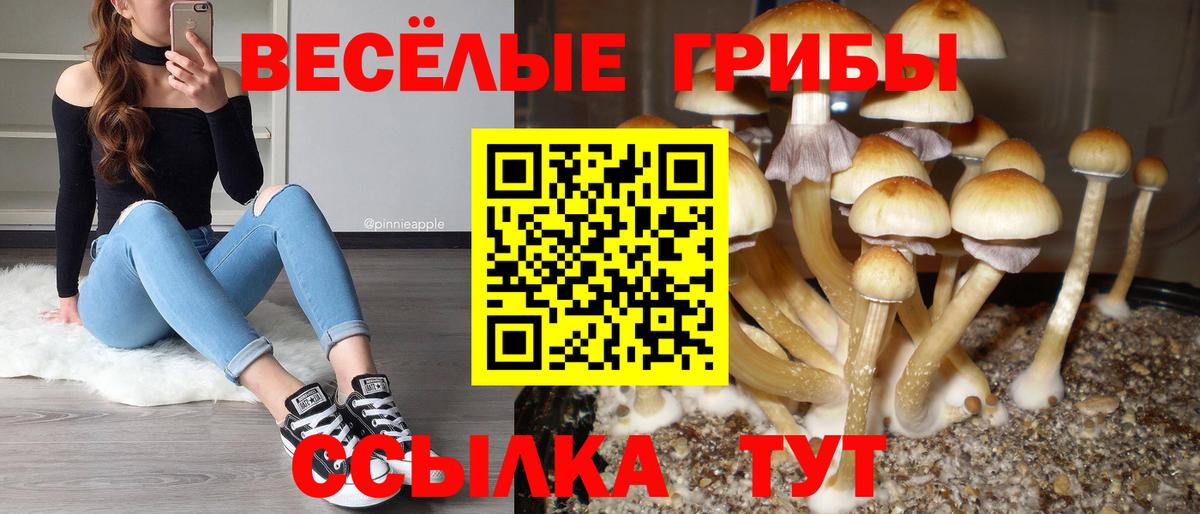 Галлюциногенные грибы MAGIC MUSHROOMS  Вход с VPN  Великий Новгород 